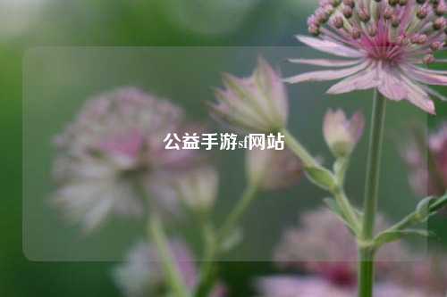 公益手游sf網(wǎng)站