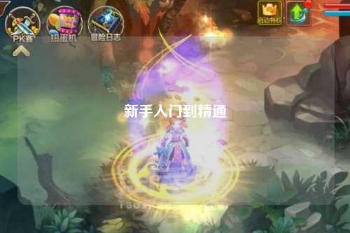 新手入門(mén)到精通