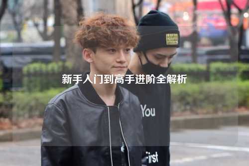 新手入門(mén)到高手進(jìn)階全解析