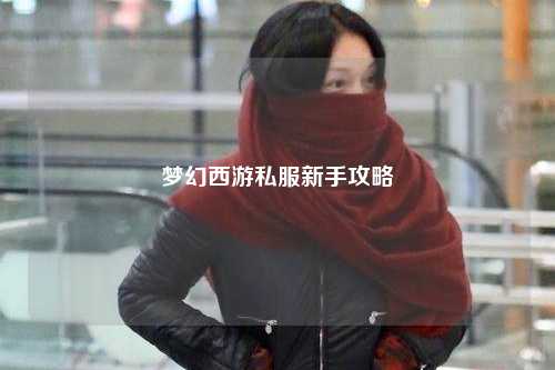 夢(mèng)幻西游私服新手攻略