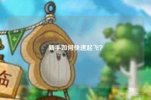 新手如何快速起飛？