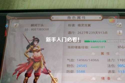 新手入門(mén)必看！