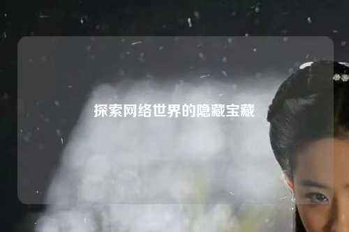 探索網(wǎng)絡(luò )世界的隱藏寶藏