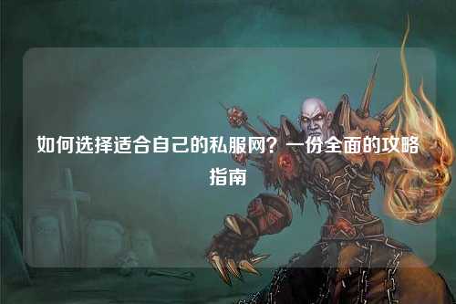 如何選擇適合自己的私服網(wǎng)？一份全面的攻略指南