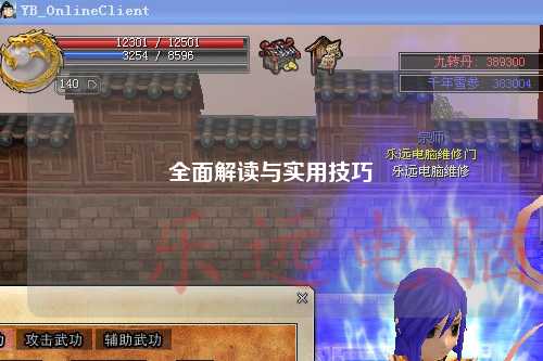 全面解讀與實(shí)用技巧