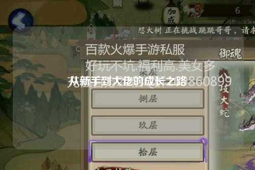 從新手到大佬的成長(cháng)之路