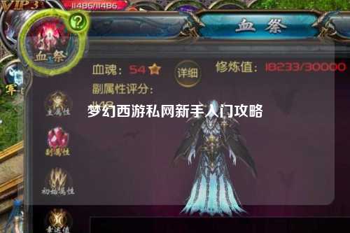 夢(mèng)幻西游私網(wǎng)新手入門(mén)攻略