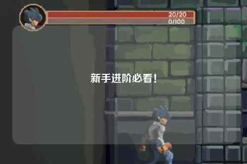 新手進(jìn)階必看！