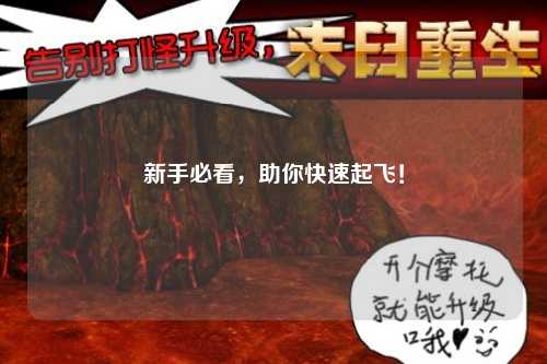 新手必看，助你快速起飛！