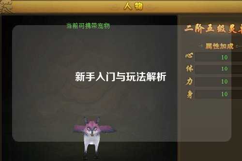 新手入門(mén)與玩法解析