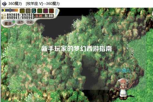 新手玩家的夢(mèng)幻西游指南