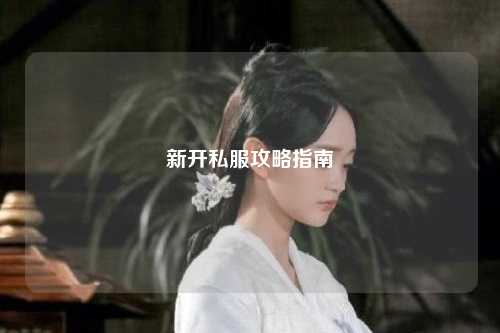 新開(kāi)私服攻略指南