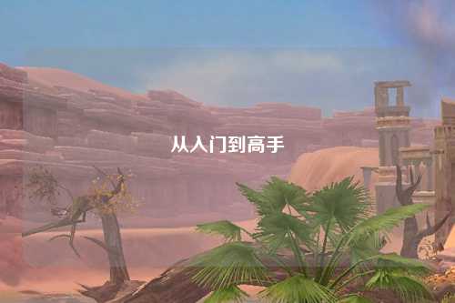 從入門(mén)到高手