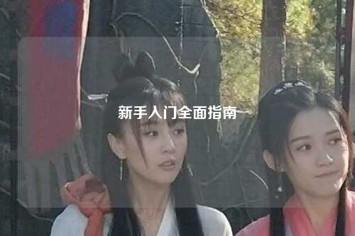 新手入門(mén)全面指南