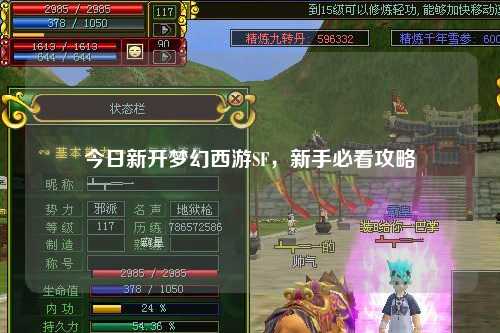今日新開(kāi)夢(mèng)幻西游SF，新手必看攻略