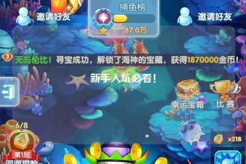 新手入坑必看！