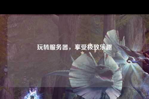 玩轉服務(wù)器，享受極致樂(lè )趣