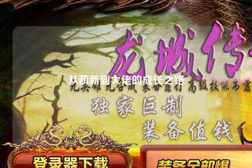 從萌新到大佬的成長(cháng)之路