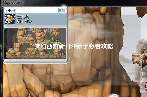 夢(mèng)幻西游新開(kāi)SF新手必看攻略