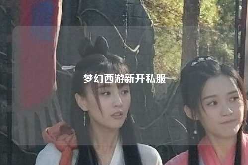 夢(mèng)幻西游新開(kāi)私服