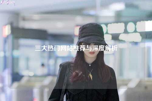 三大熱門(mén)網(wǎng)站推薦與深度解析