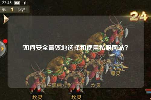 如何安全高效地選擇和使用私服網(wǎng)站？