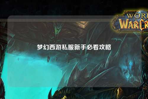 夢(mèng)幻西游私服新手必看攻略