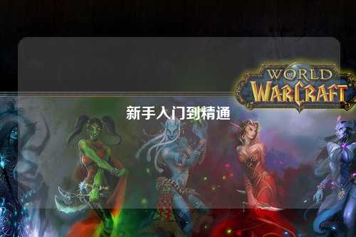 新手入門(mén)到精通