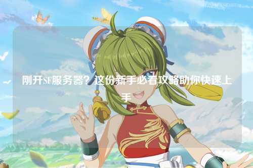 剛開(kāi)SF服務(wù)器？這份新手必看攻略助你快速上手