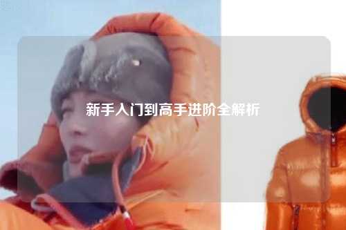 新手入門(mén)到高手進(jìn)階全解析