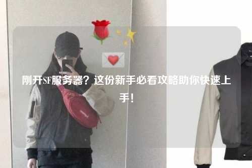 剛開(kāi)SF服務(wù)器？這份新手必看攻略助你快速上手！