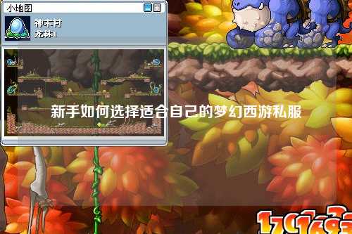 新手如何選擇適合自己的夢(mèng)幻西游私服