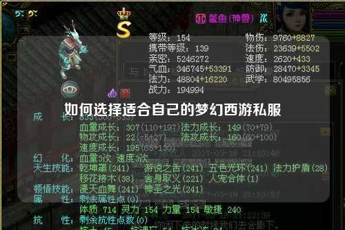 如何選擇適合自己的夢(mèng)幻西游私服
