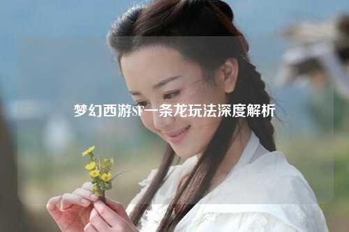 夢(mèng)幻西游SF一條龍玩法深度解析