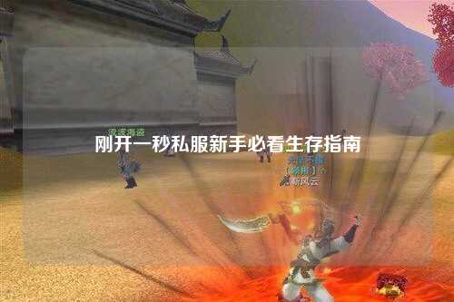 剛開(kāi)一秒私服新手必看生存指南