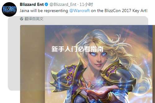 新手入門(mén)必看指南