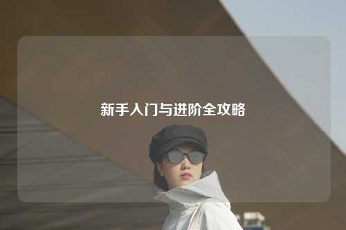 新手入門(mén)與進(jìn)階全攻略