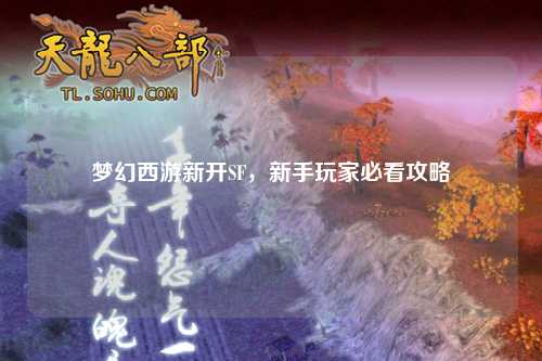 夢(mèng)幻西游新開(kāi)SF，新手玩家必看攻略