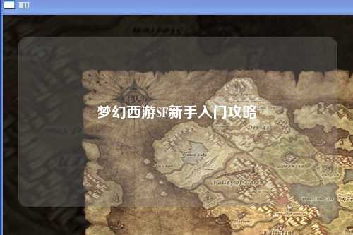 夢(mèng)幻西游SF新手入門(mén)攻略