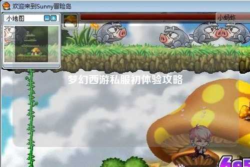夢(mèng)幻西游私服初體驗攻略