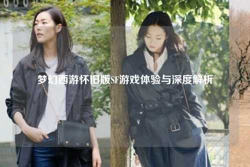 夢(mèng)幻西游懷舊版SF游戲體驗與深度解析
