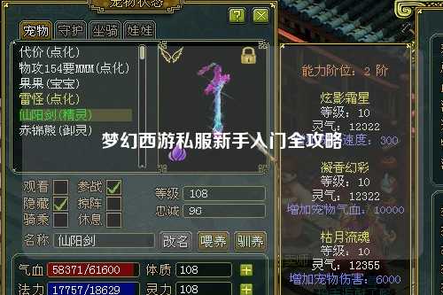 夢(mèng)幻西游私服新手入門(mén)全攻略