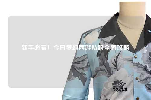 新手必看！今日夢(mèng)幻西游私服全面攻略