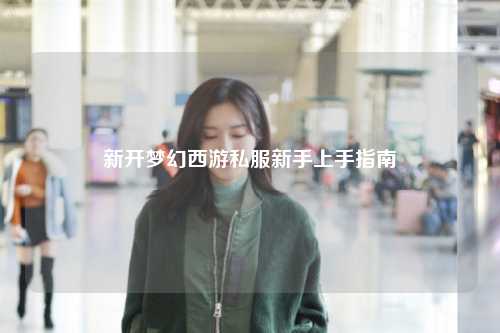 新開(kāi)夢(mèng)幻西游私服新手上手指南