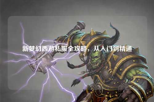 新夢(mèng)幻西游私服全攻略，從入門(mén)到精通