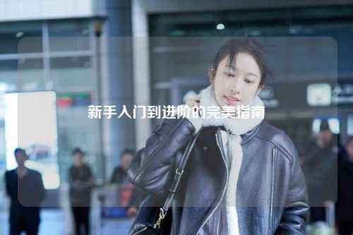 新手入門(mén)到進(jìn)階的完美指南