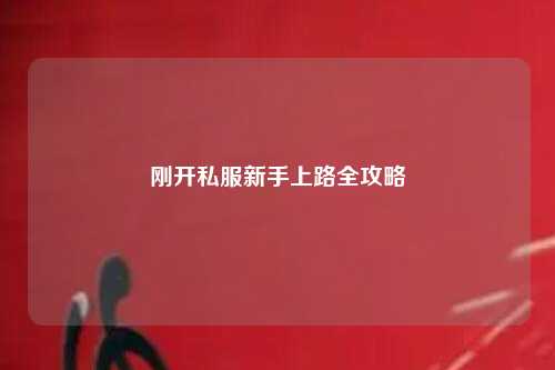 剛開(kāi)私服新手上路全攻略