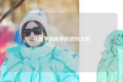 從新手到高手的進(jìn)階之路