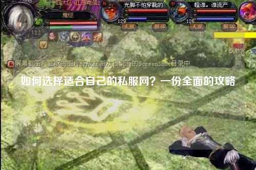 如何選擇適合自己的私服網(wǎng)？一份全面的攻略