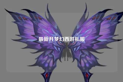 最新開(kāi)夢(mèng)幻西游私服